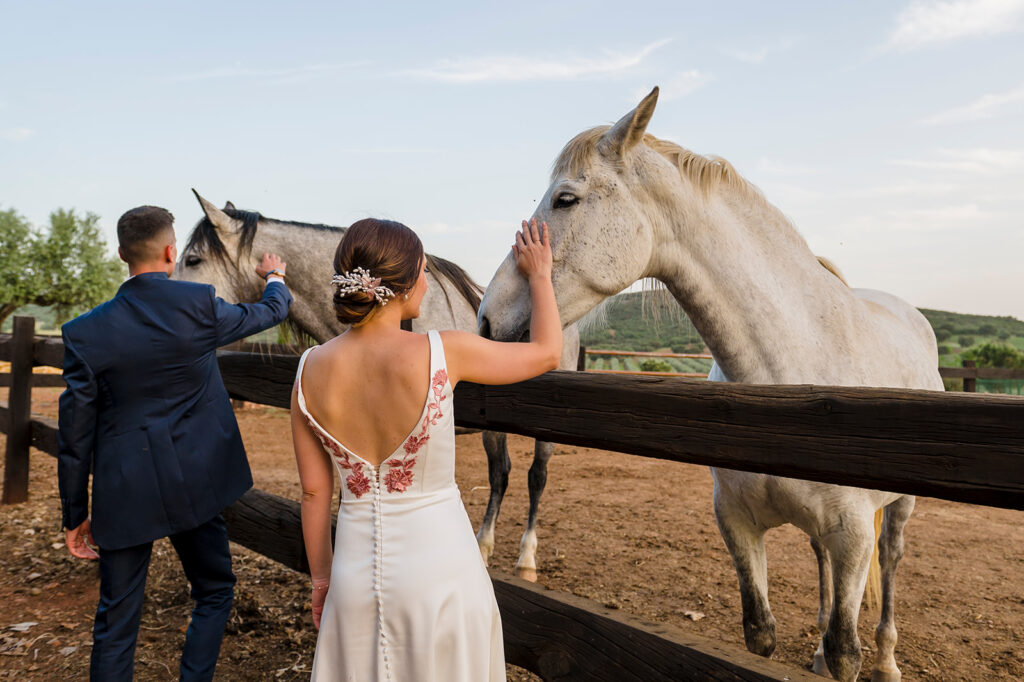 Caballos en La Posadilla